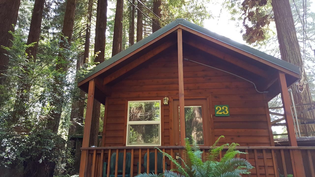 Emerald Forest Cabins Trinidad Exterior photo