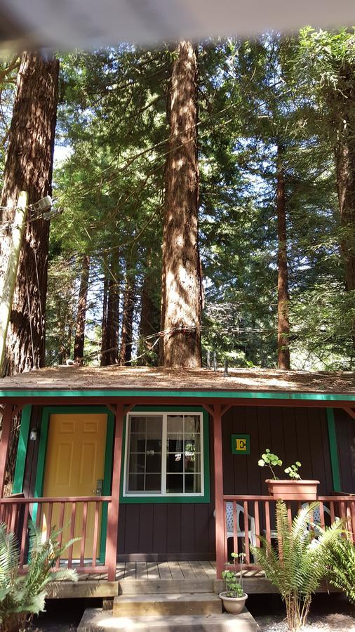 Emerald Forest Cabins Trinidad Room photo